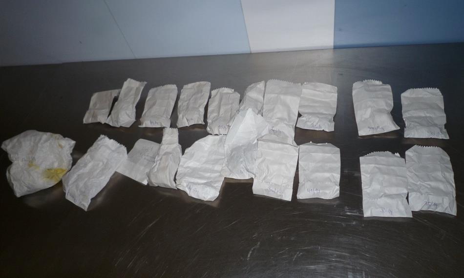 2015-1-26-1134kaktus foto 1.jpg